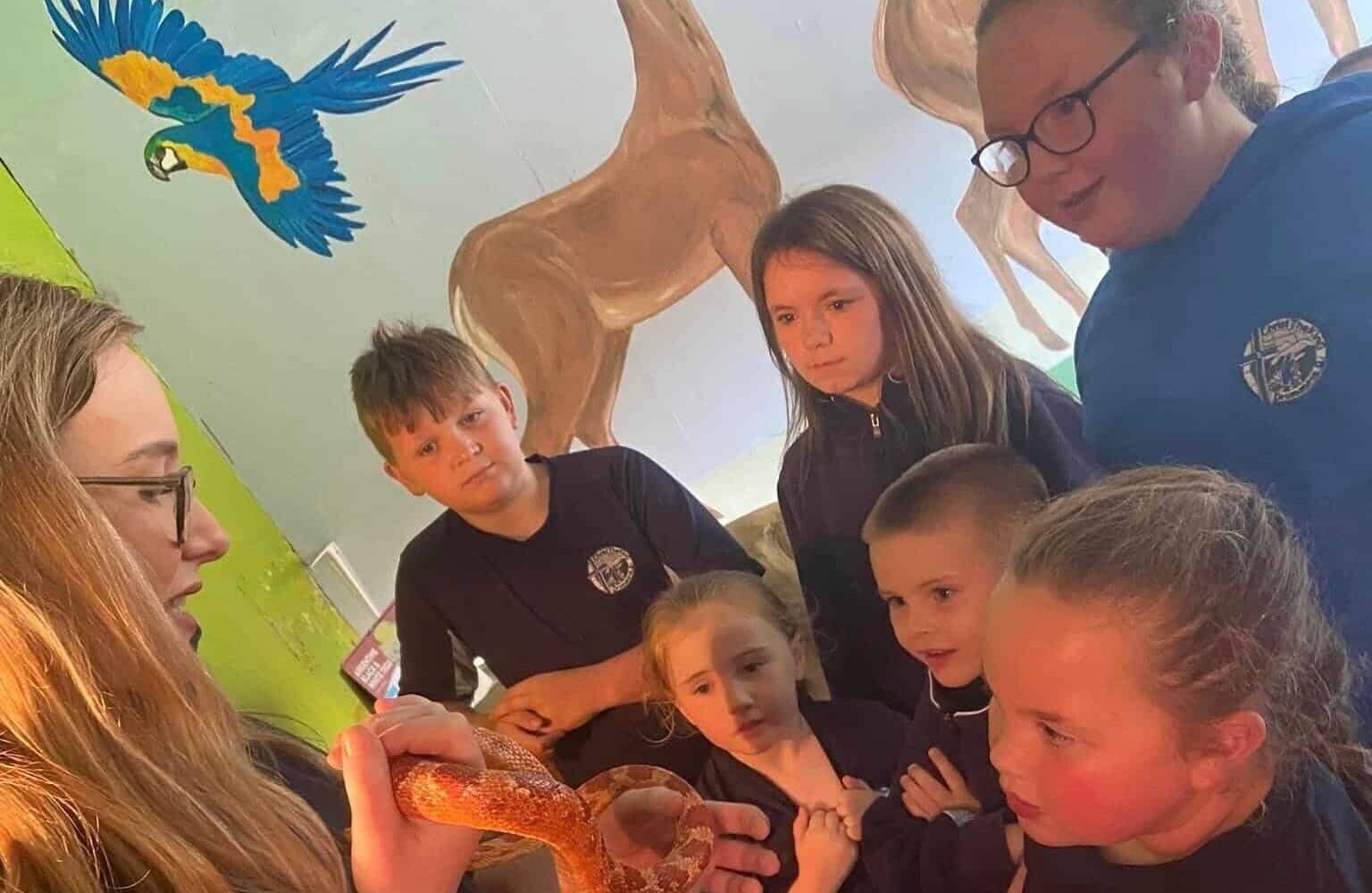 Image hover effect image