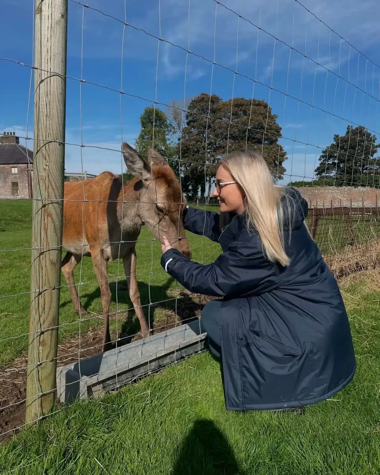 Marybell our Human Loving Deer