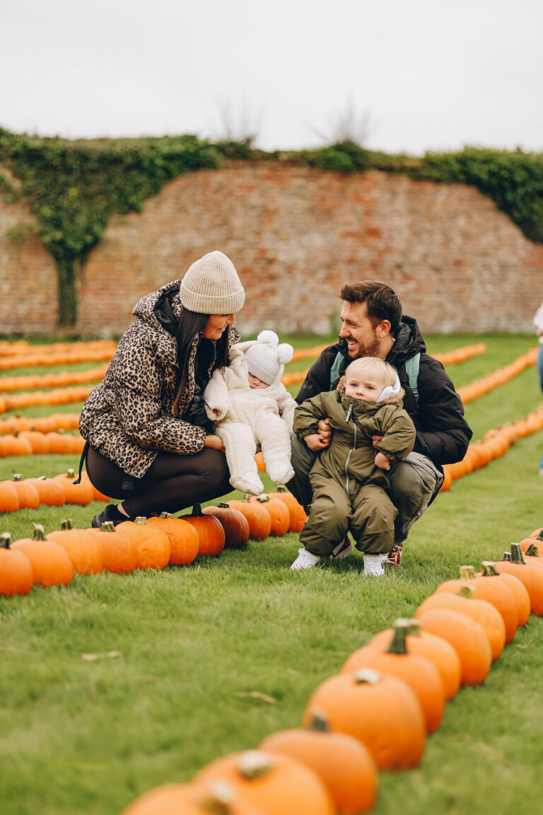 Pumpkin Patch 2