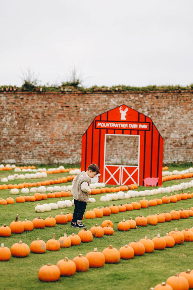Pumpkin Patch